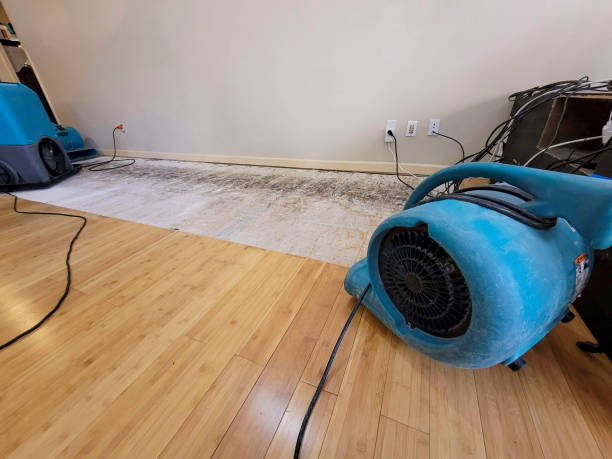 Professional Burst Pipe Water Damage technician working in Windsor, CA